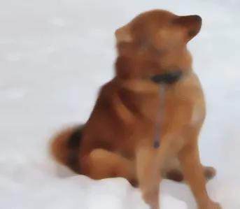 Jälkeen