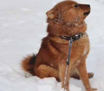 Jälkeen